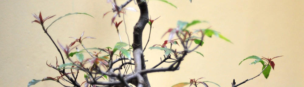 Schwäbischer Albverein | Ortsgruppe Ratshausen